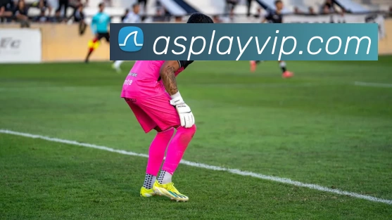 傲世皇朝官网APP 高清赛事图